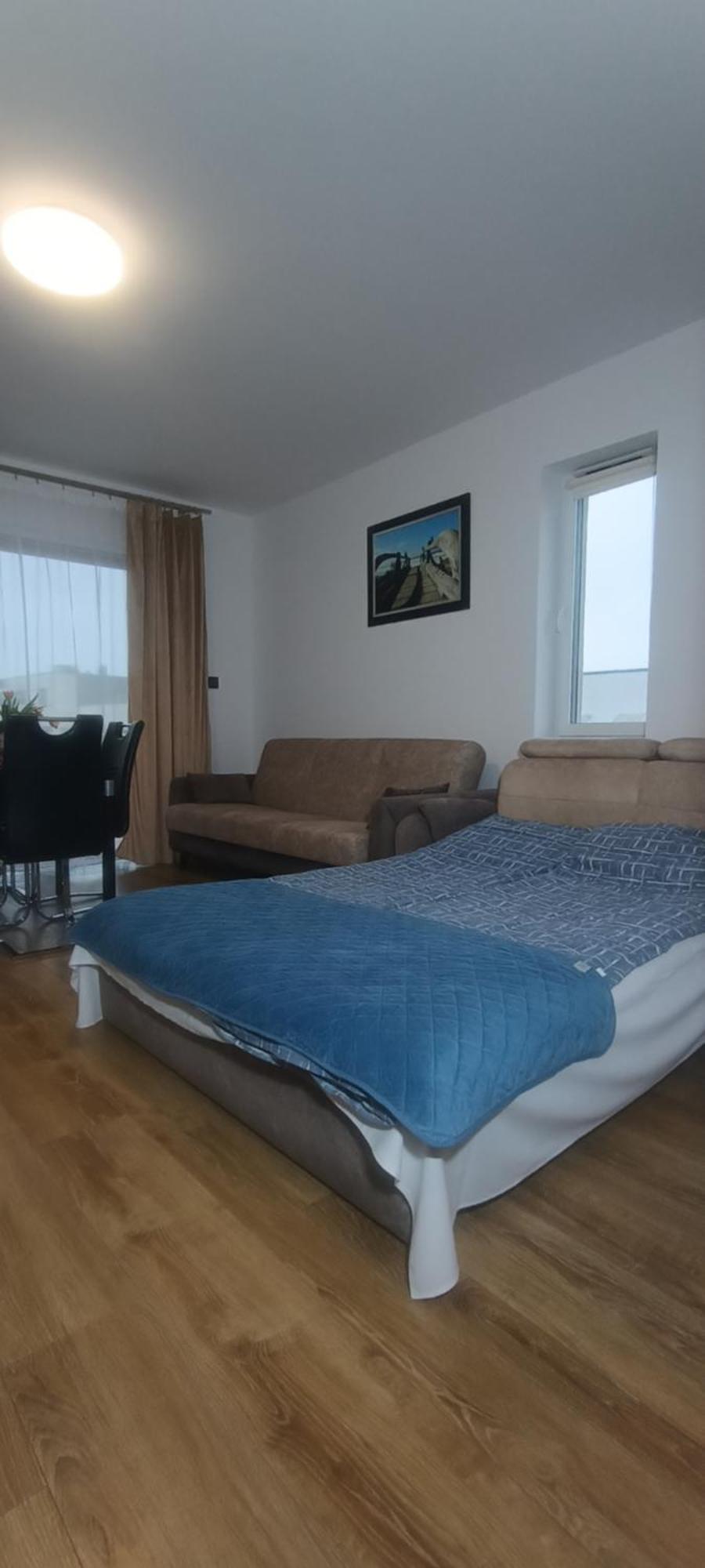 Flamingo 20 Miedzyzdroje